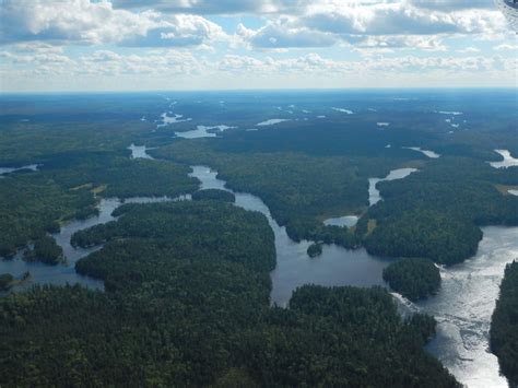 environmental charities canada|Ontario Nature .